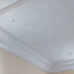 cladding