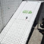 WhatsApp Image 2024-08-20 at 11.50.10 - Copy