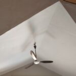 WhatsApp Image 2025-05-10 at 3.40.40 PM