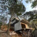 WhatsApp Image 2026-02-17 at 8.24.28 PM