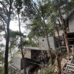 WhatsApp Image 2026-02-17 at 8.24.29 PM